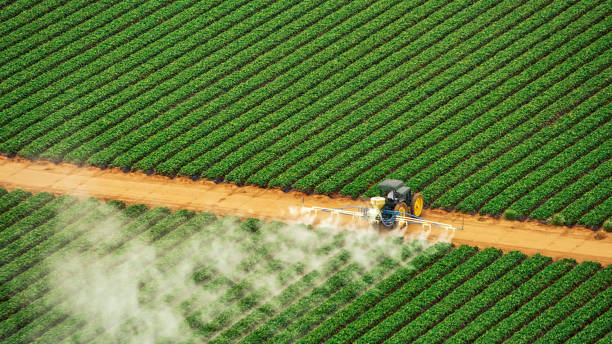 Best Mosquito Control Services  in Montgomeryville, PA