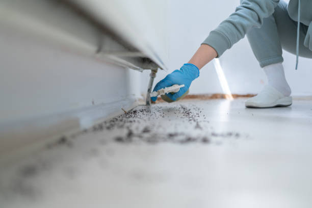 Best Mosquito Control Services  in Montgomeryville, PA